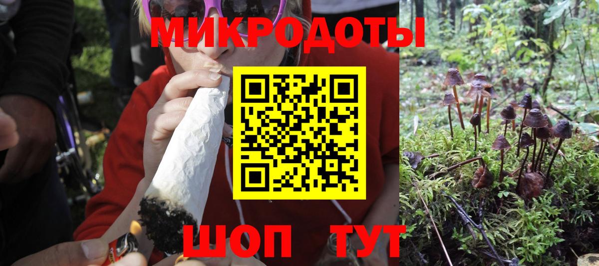 Псилоцибиновые грибы Psilocybine cubensis Дедовск