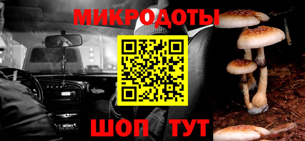 Дедовск  Галлюциногенные грибы Cubensis  Вход с VPN 